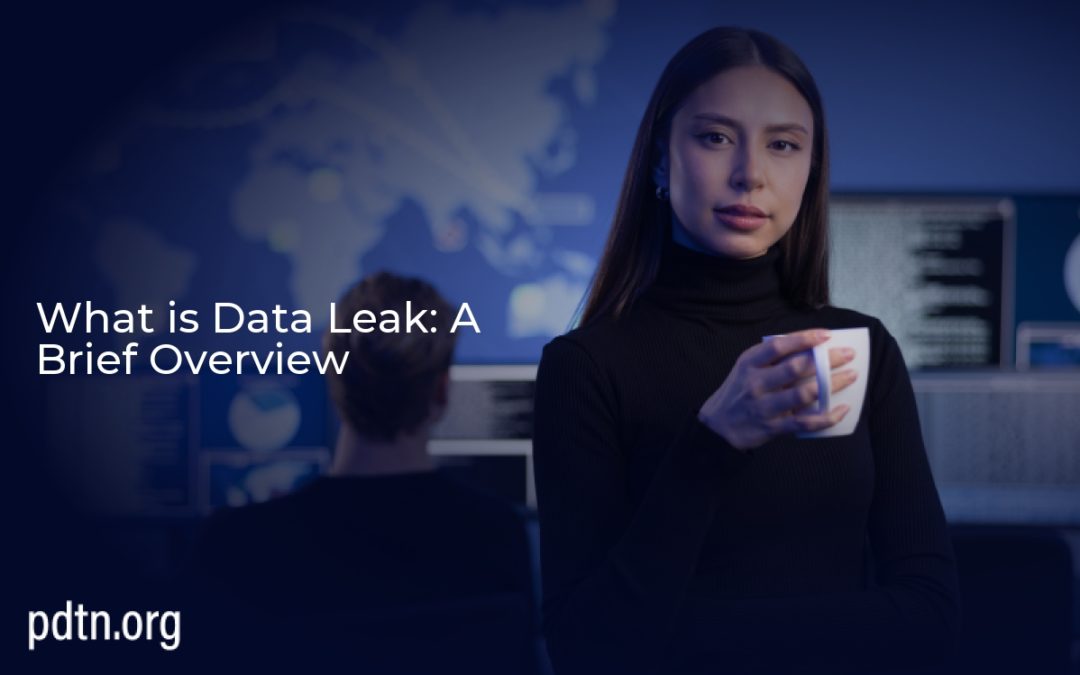 What is Data Leak: A Brief Overview